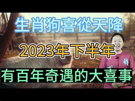 2023屬狗買房|準的離譜 